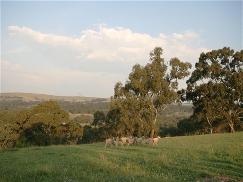 Lot 9 Plant Avenue, Clare SA 5453