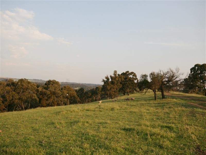 Lot 9 Plant Avenue, Clare SA 5453