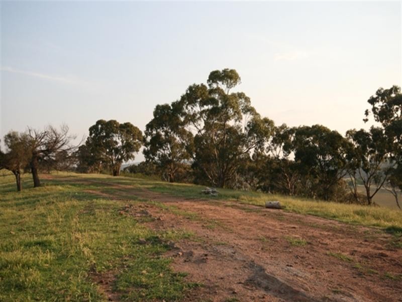 Lot 9 Plant Avenue, Clare SA 5453