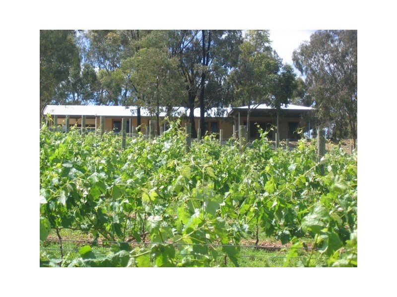 Lot 10 Mintaro Road, Leasingham SA 5452
