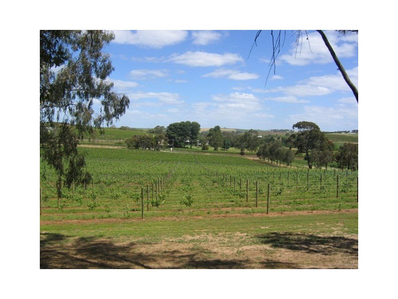 Lot 10 Mintaro Road, Leasingham SA 5452
