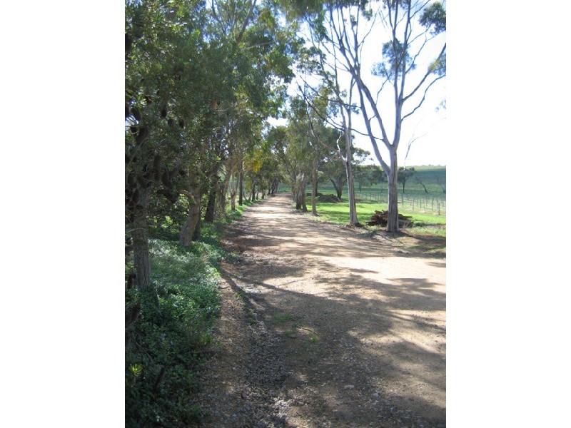 Lot 10 Mintaro Road, Leasingham SA 5452