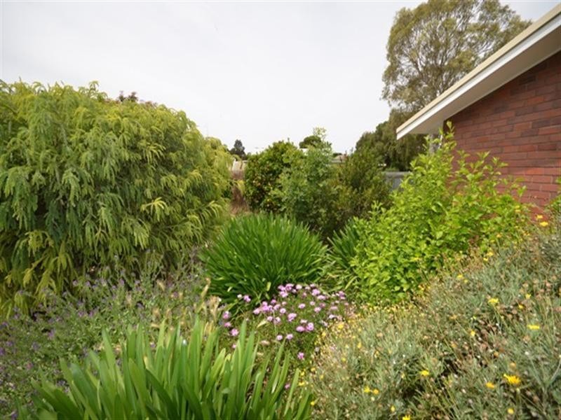 10 Strickland Street, Riverton SA 5412