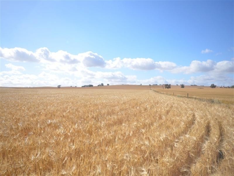 Various Lots Murray Town and, Booleroo Centre SA 5482