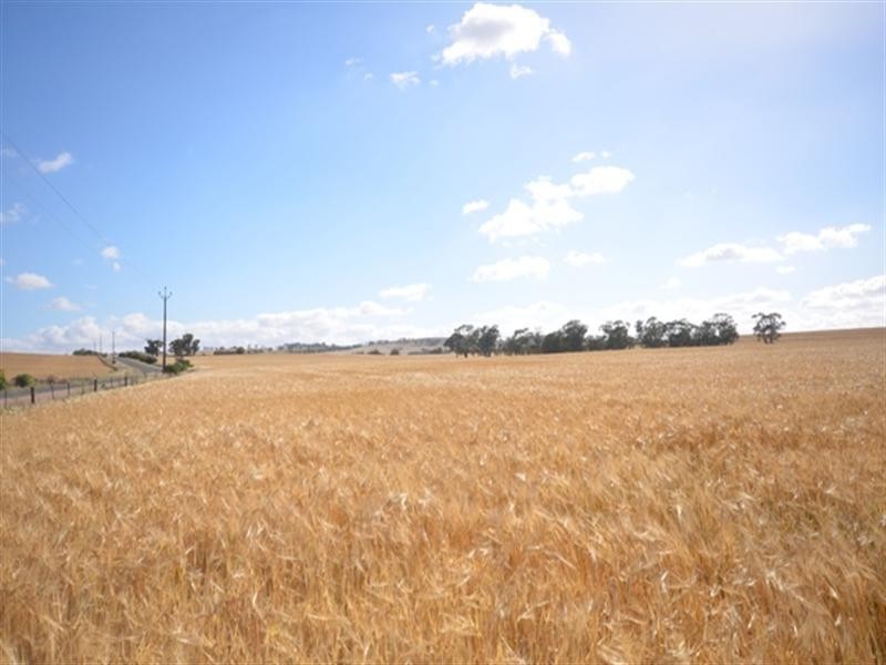 Various Lots Murray Town and, Booleroo Centre SA 5482