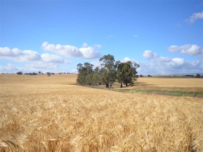 Various Lots Murray Town and, Booleroo Centre SA 5482