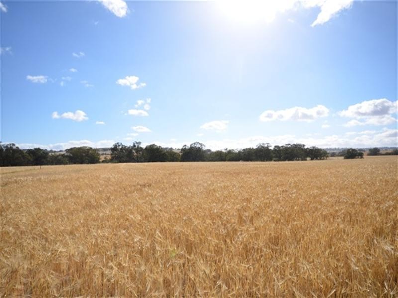 Various Lots Murray Town and, Booleroo Centre SA 5482