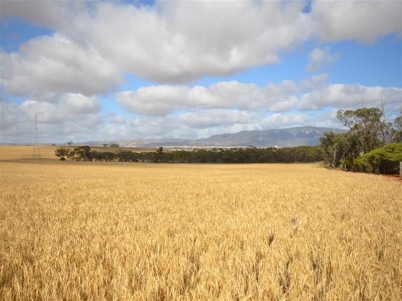 Various Lots Murray Town and, Booleroo Centre SA 5482