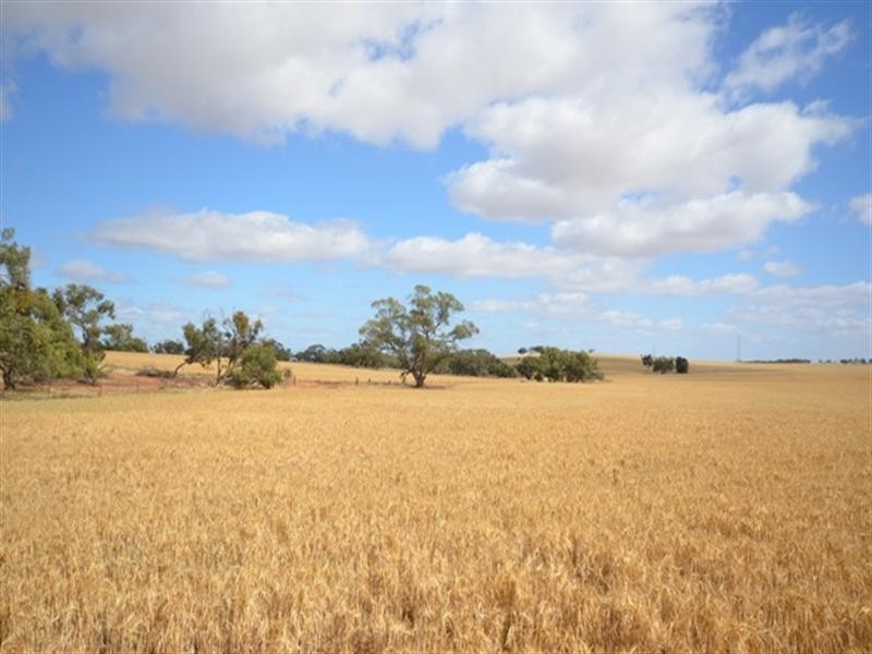 Various Lots Murray Town and, Booleroo Centre SA 5482