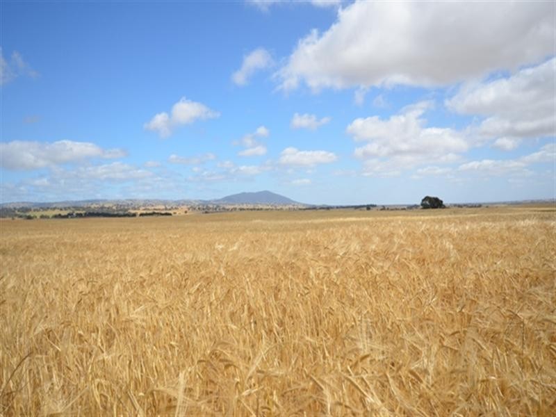 Various Lots Murray Town and, Booleroo Centre SA 5482