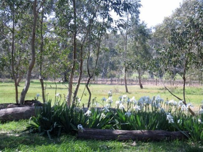 Pieces 4 and 8 Skillogalee Creek Road, Watervale SA 5452