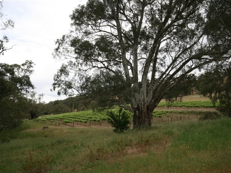 Pieces 4 and 8 Skillogalee Creek Road, Watervale SA 5452