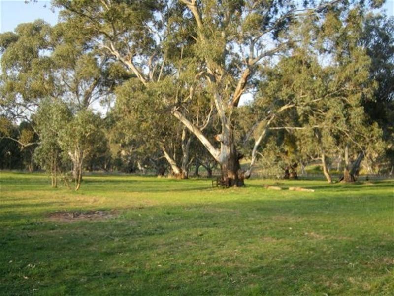 Pieces 4 and 8 Skillogalee Creek Road, Watervale SA 5452