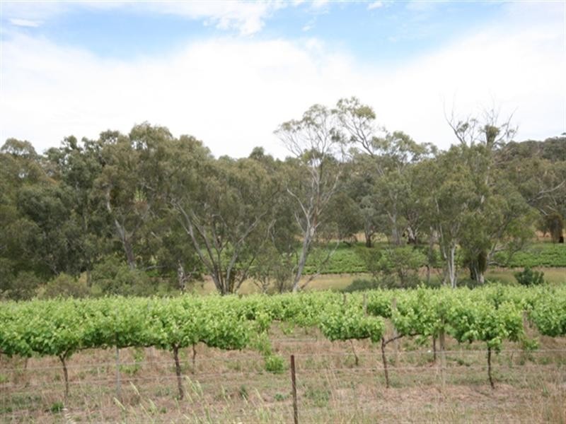 Pieces 4 and 8 Skillogalee Creek Road, Watervale SA 5452