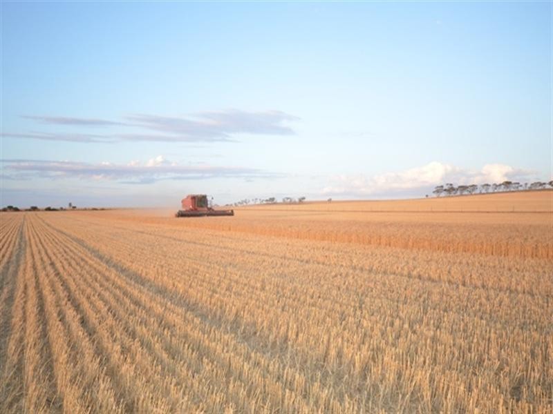 “Pinery Hut” Bumbunga via, Lochiel SA 5510