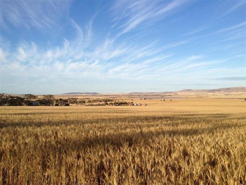 “Pinery Hut” Bumbunga via, Lochiel SA 5510