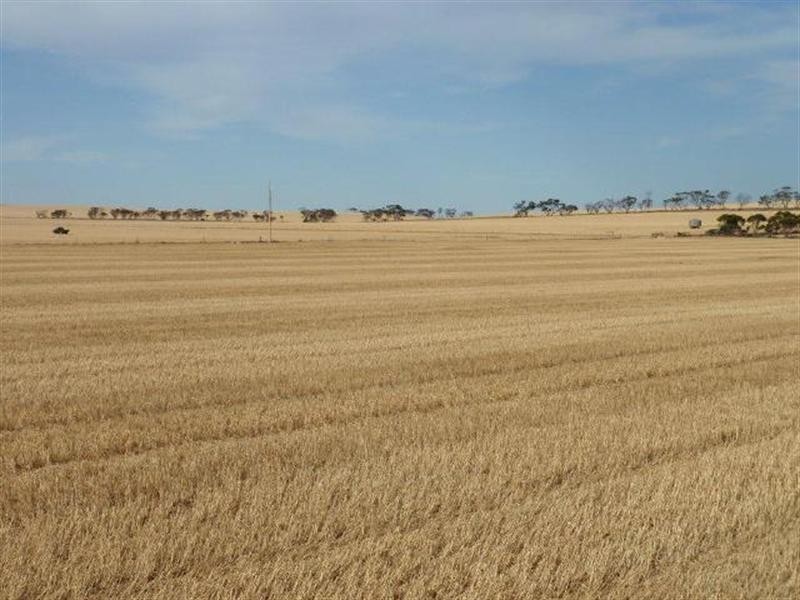 “Pinery Hut” Bumbunga via, Lochiel SA 5510