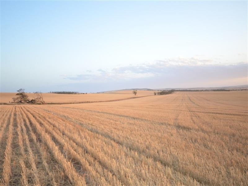 “Pinery Hut” Bumbunga via, Lochiel SA 5510