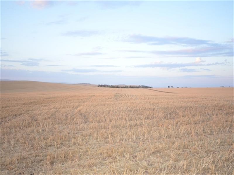 “Pinery Hut” Bumbunga via, Lochiel SA 5510