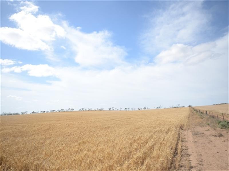 “Pinery Hut” Bumbunga via, Lochiel SA 5510