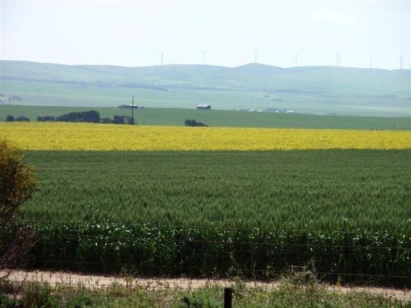 “Pinery Hut” Bumbunga via, Lochiel SA 5510