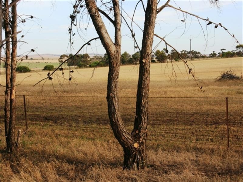 Lot 3 Blyth Road HOYLETON via, Clare SA 5453