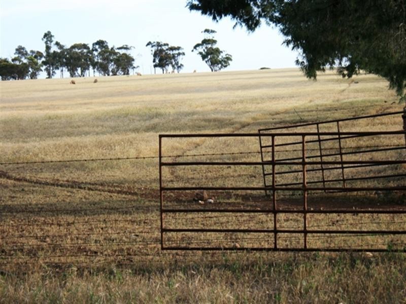 Lot 3 Blyth Road HOYLETON via, Clare SA 5453