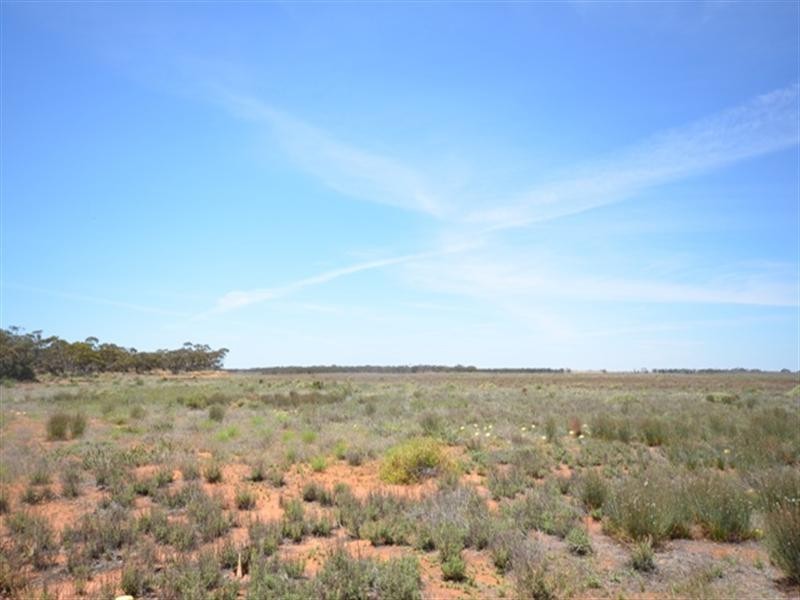 Sec 367 MacIntosh Road, Cadell SA 5321