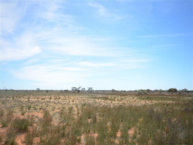 Sec 367 MacIntosh Road, Cadell SA 5321