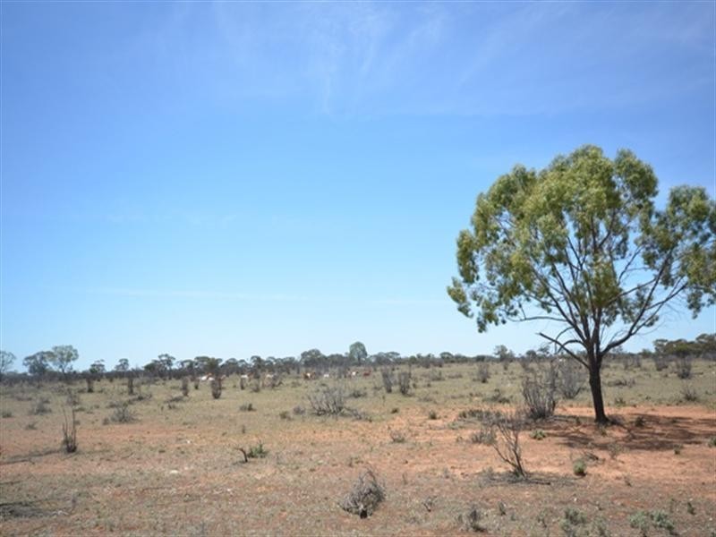 Sec 367 MacIntosh Road, Cadell SA 5321