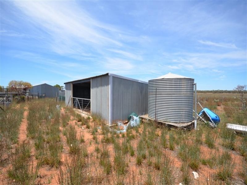 Sec 367 MacIntosh Road, Cadell SA 5321