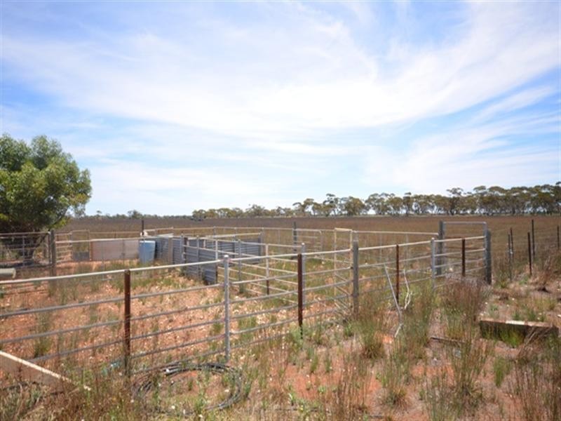 Sec 367 MacIntosh Road, Cadell SA 5321