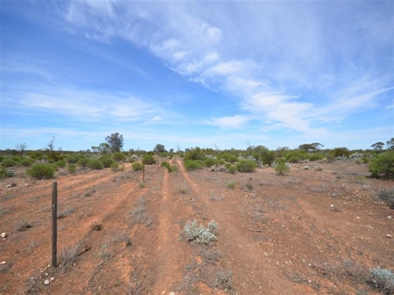 Section 233 Pat Hydes Road, Morgan SA 5320