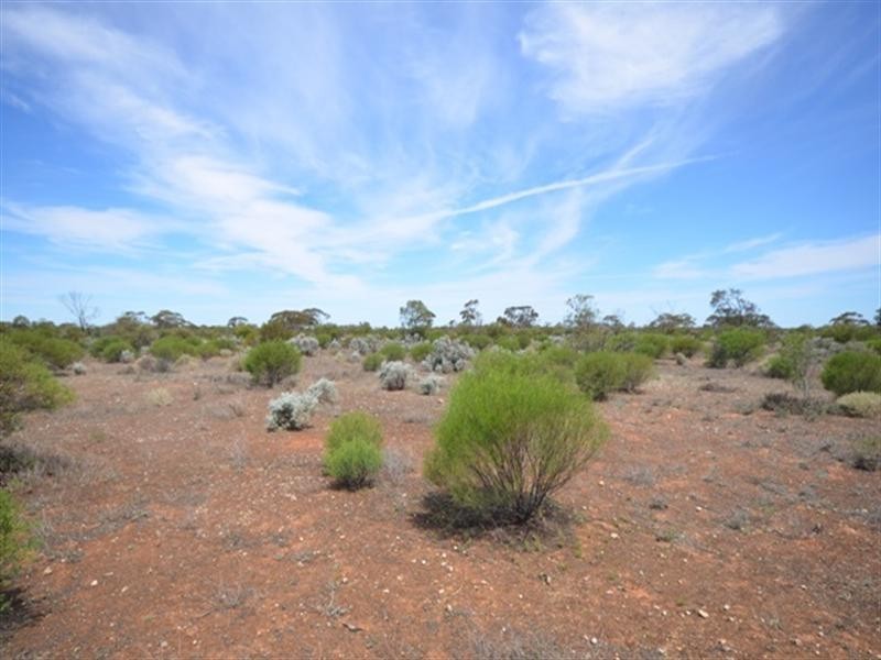 Section 233 Pat Hydes Road, Morgan SA 5320