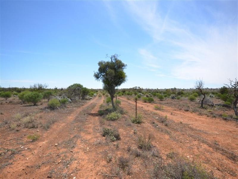 Section 233 Pat Hydes Road, Morgan SA 5320