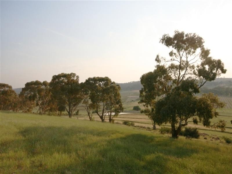 Lot 9 Plant Avenue, Clare SA 5453