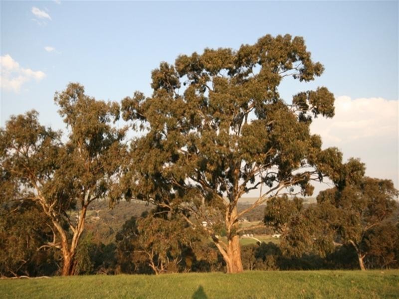 Lot 9 Plant Avenue, Clare SA 5453