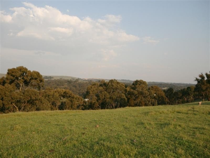 Lot 9 Plant Avenue, Clare SA 5453