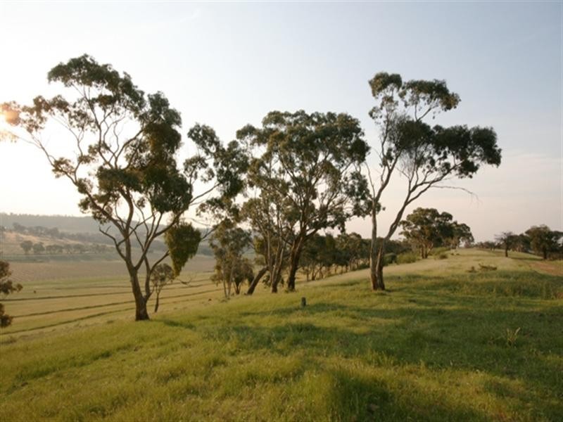 Lot 9 Plant Avenue, Clare SA 5453