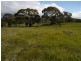 Lot 27 Hill Court, Clare SA 5453
