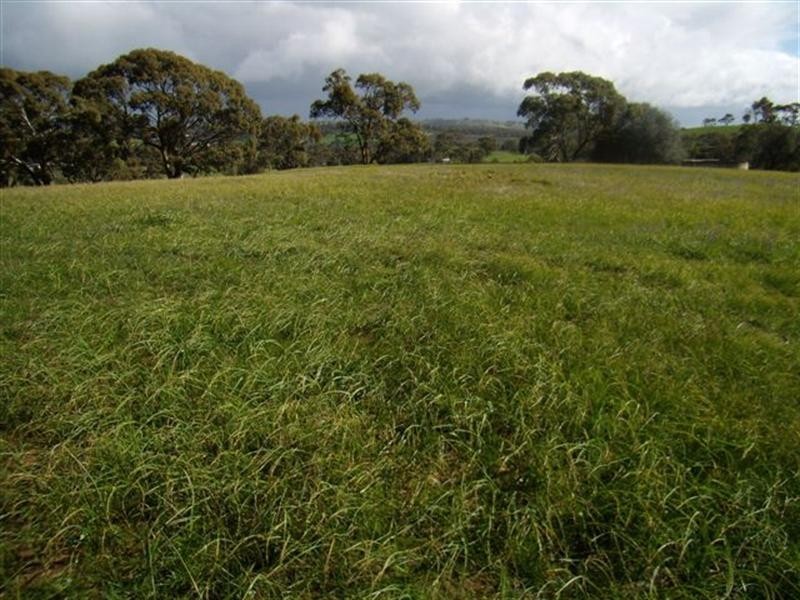 Lot 27 Hill Court, Clare SA 5453