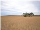 “Bowmans” Goyder, Beaufort SA 5550