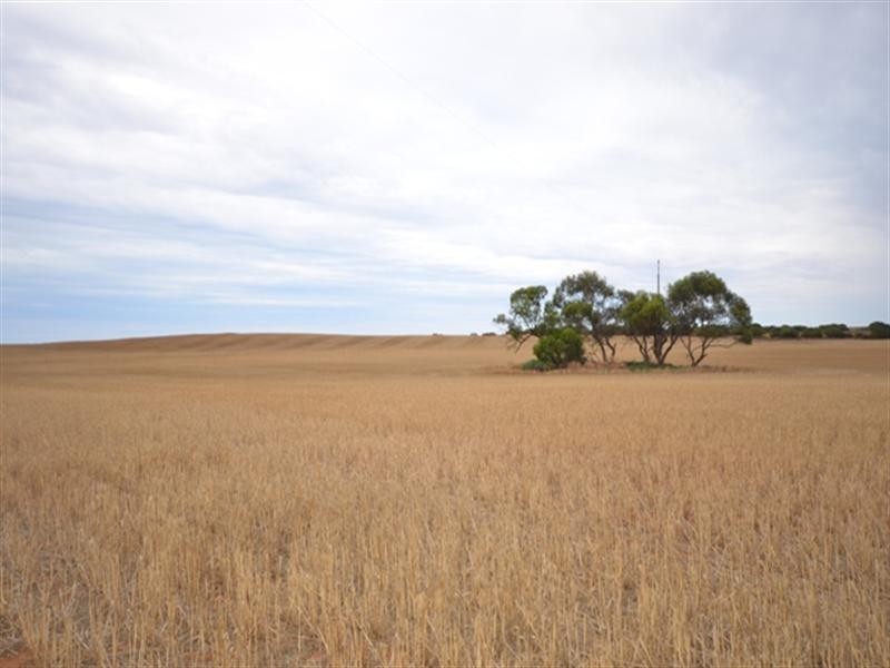 “Bowmans” Goyder, Beaufort SA 5550