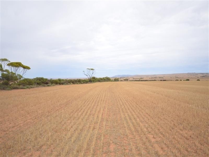 “Bowmans” Goyder, Beaufort SA 5550