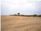 “Bowmans” Goyder, Beaufort SA 5550
