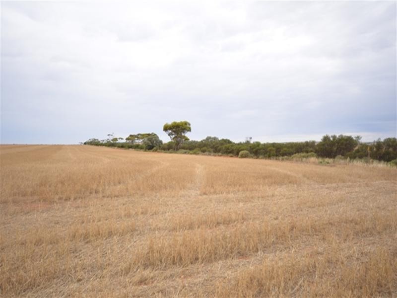 “Bowmans” Goyder, Beaufort SA 5550