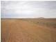 “Bowmans” Goyder, Beaufort SA 5550