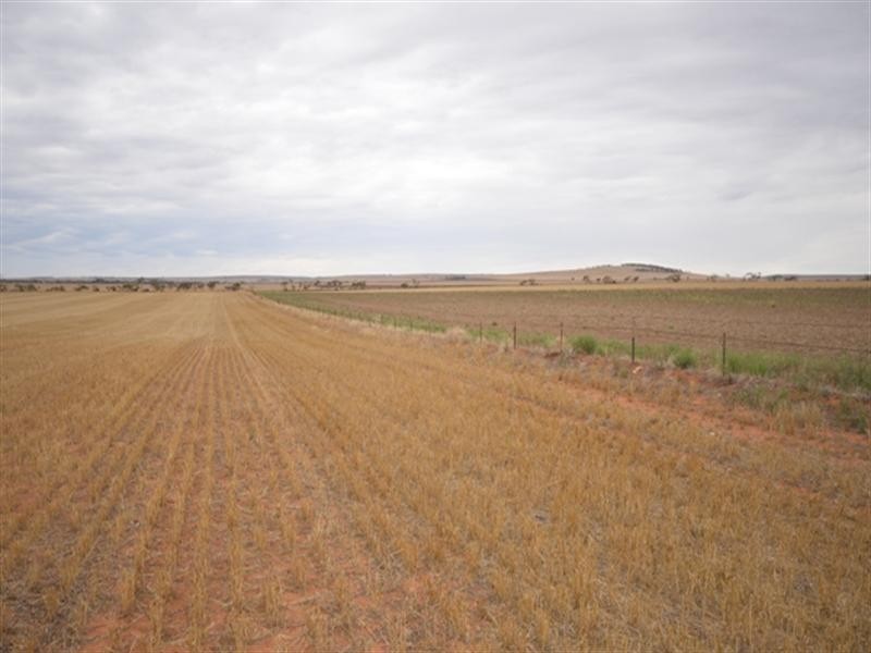“Bowmans” Goyder, Beaufort SA 5550