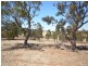 Lot 5 Spring Gully Road, Clare SA 5453