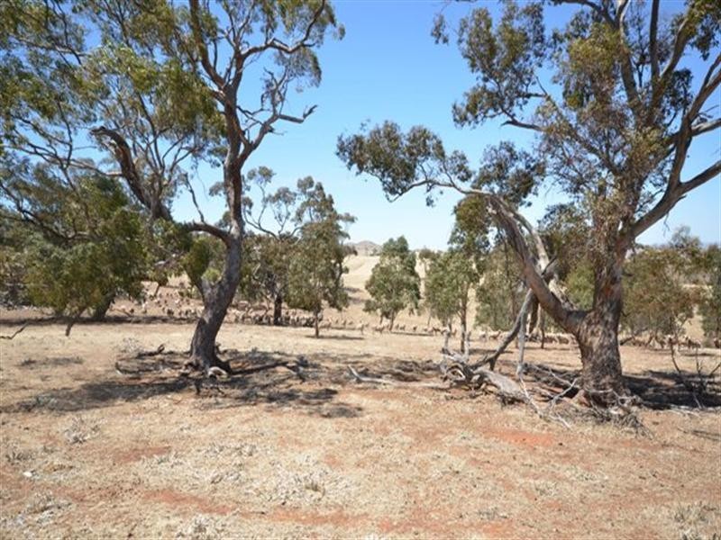 Lot 5 Spring Gully Road, Clare SA 5453